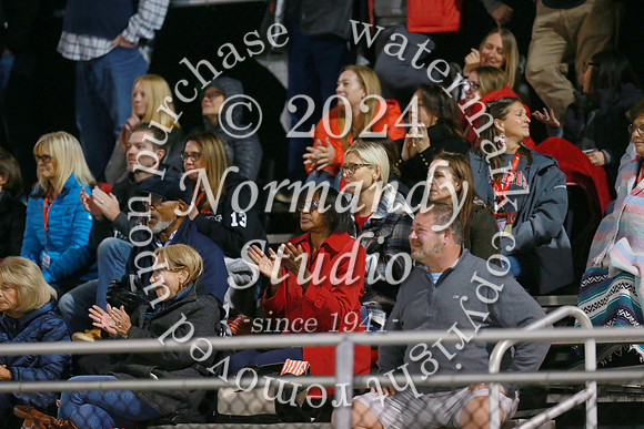BER_fans_22
