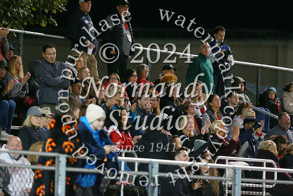 BER_fans_38