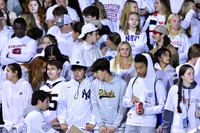 VOR_fans_04