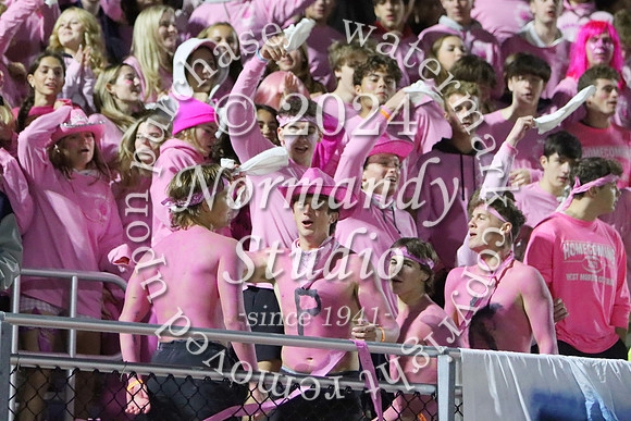 WMC_fans_11