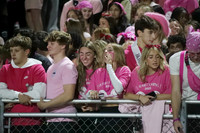 WTG_fans_06