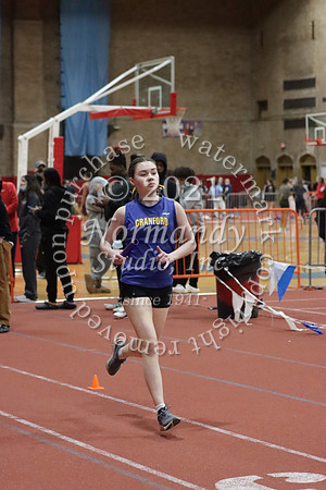 CHS_20_wt-g