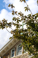 MSM_campus_14