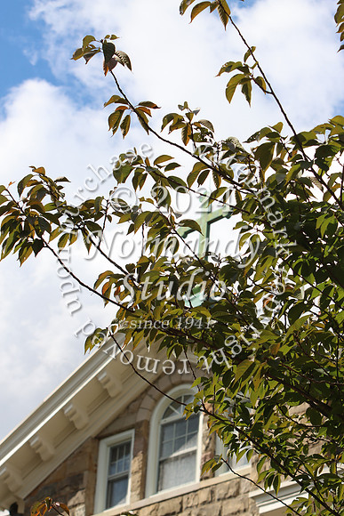 MSM_campus_14