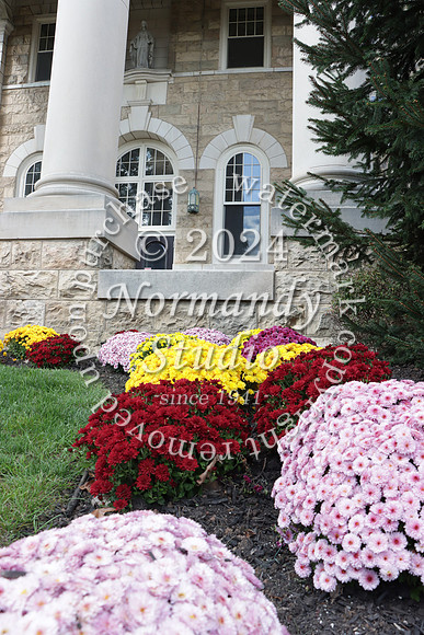 MSM_campus_35