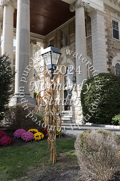 MSM_campus_39