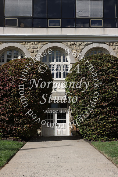 MSM_campus_46
