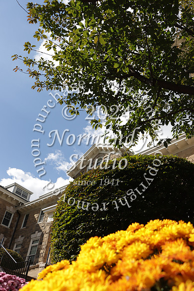 MSM_campus_52