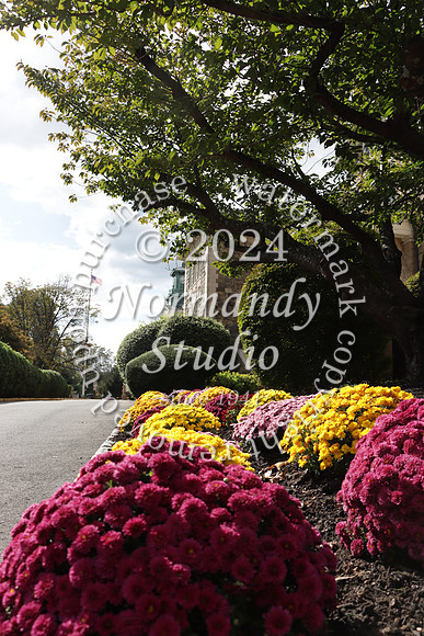 MSM_campus_57
