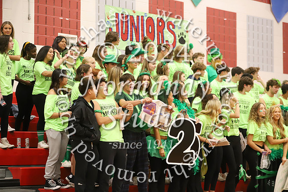 LIB_botc_60