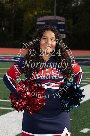 DHS_ind_15