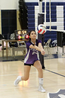 TOT_vb-g_20