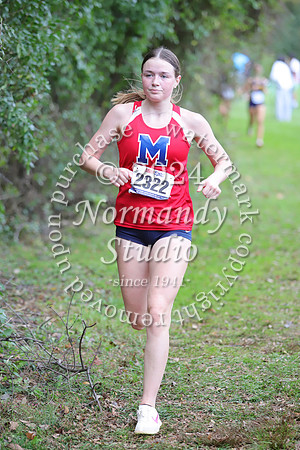 MSM_cc_11