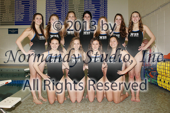 WHS_6_sw-t