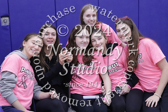 WHS_st vs fac vb_18