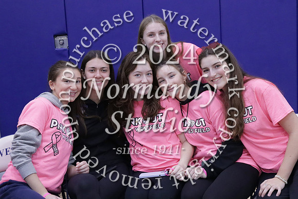 WHS_st vs fac vb_19