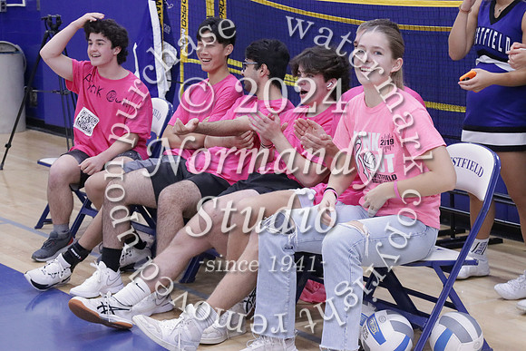 WHS_st vs fac vb_25