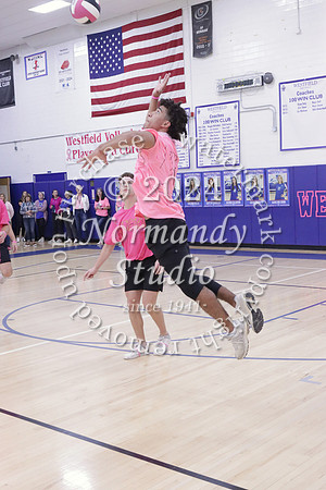 WHS_st vs fac vb_28
