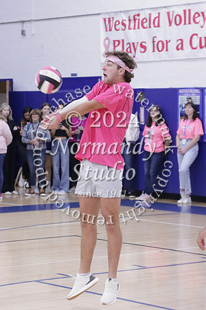 WHS_st vs fac vb_32