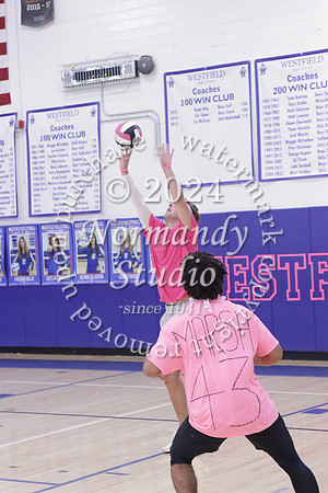 WHS_st vs fac vb_37