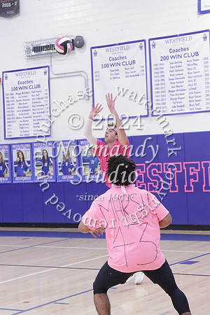 WHS_st vs fac vb_38