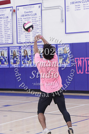 WHS_st vs fac vb_39
