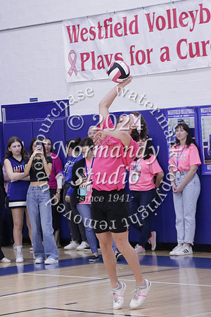 WHS_st vs fac vb_46