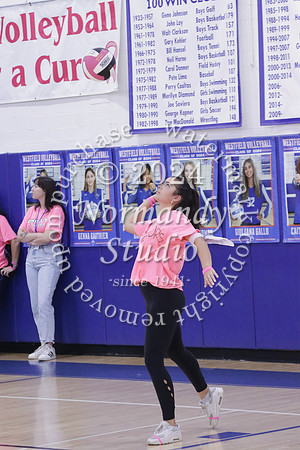 WHS_st vs fac vb_51