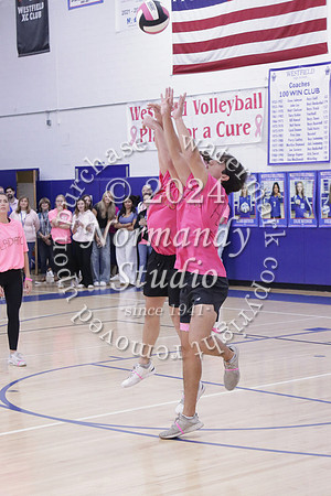 WHS_st vs fac vb_55