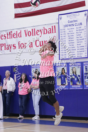 WHS_st vs fac vb_57