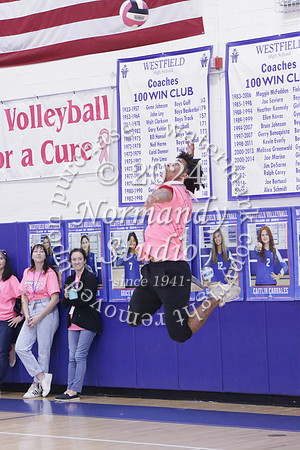 WHS_st vs fac vb_64