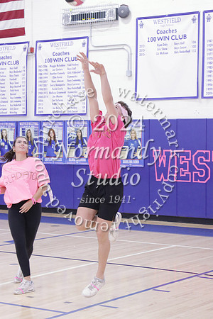 WHS_st vs fac vb_66