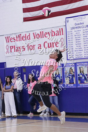 WHS_st vs fac vb_69