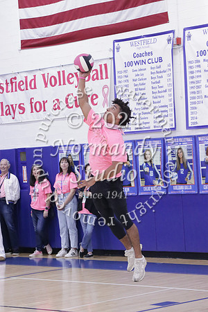 WHS_st vs fac vb_71