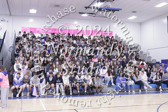 WHS_st vs fac vb_74