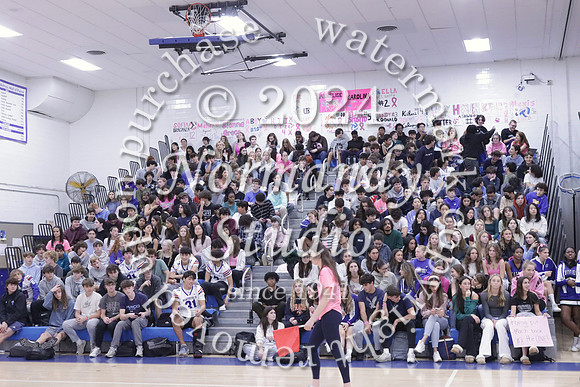 WHS_st vs fac vb_75