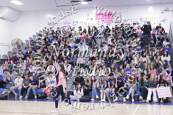WHS_st vs fac vb_76