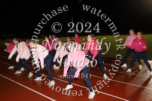 LIB_dt_20