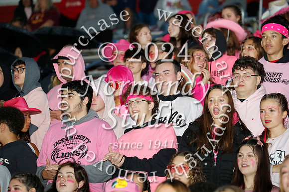LIB_fans_11