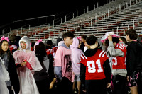 LIB_fans_12