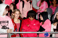 LIB_fans_13