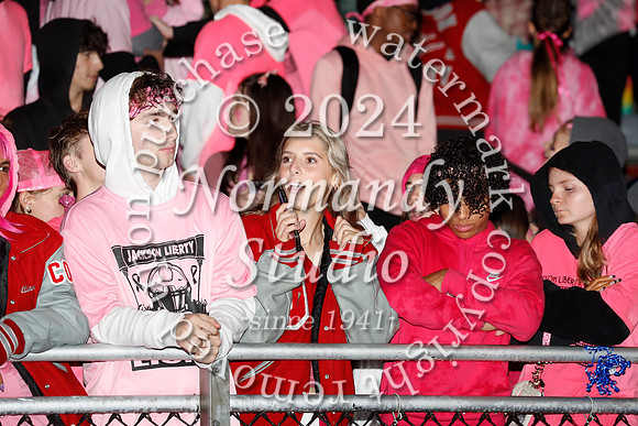 LIB_fans_14