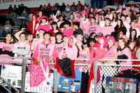 LIB_fans_10