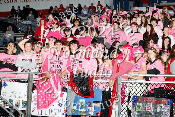 LIB_fans_10
