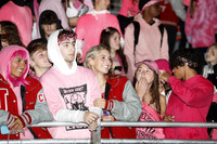 LIB_fans_15