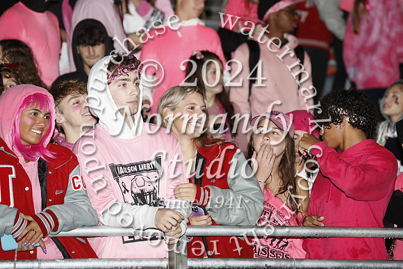 LIB_fans_15