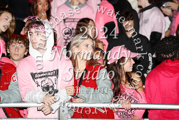 LIB_fans_16