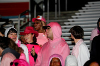 LIB_fans_20