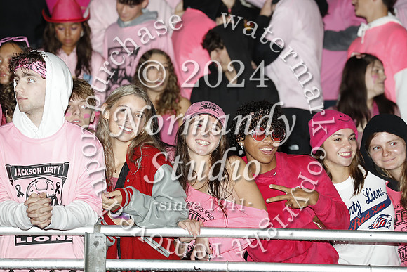 LIB_fans_21