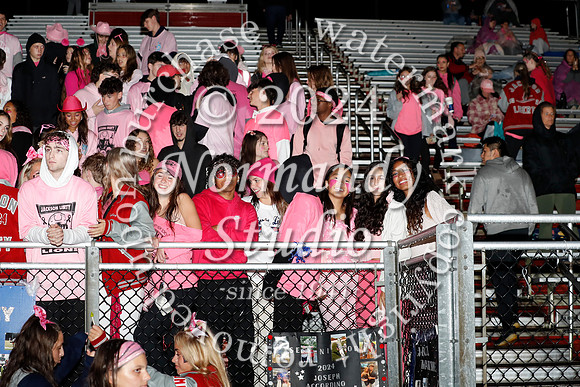 LIB_fans_22